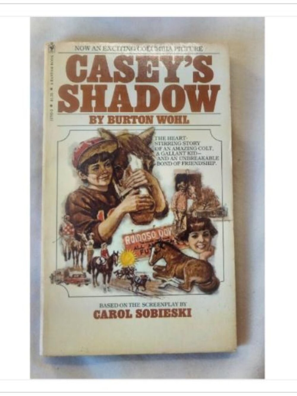 Casey's Shadow Burton Wohl 1978 Paperback Book Vintage Novel Read Classic